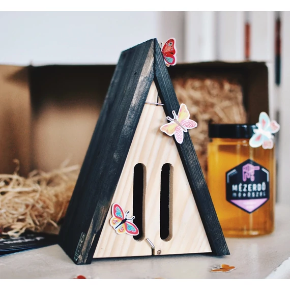 Tavaszi Tündér Pillangókészlet