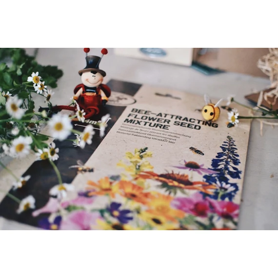 Tavaszi Tündér Pillangókészlet