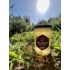 termelői levendula ízesítésű akác méz a levendulásban